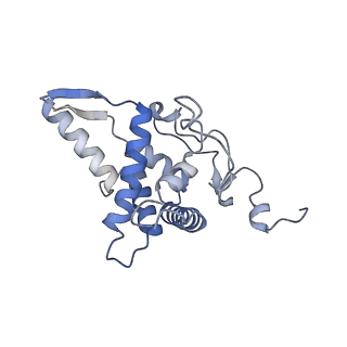 3847_5oql_n_v1-3
Cryo-EM structure of the 90S pre-ribosome from Chaetomium thermophilum