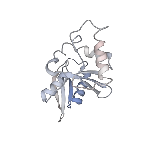 3847_5oql_p_v1-3
Cryo-EM structure of the 90S pre-ribosome from Chaetomium thermophilum