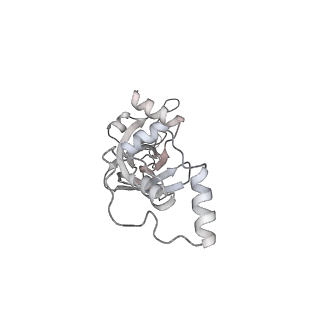 3847_5oql_q_v1-3
Cryo-EM structure of the 90S pre-ribosome from Chaetomium thermophilum