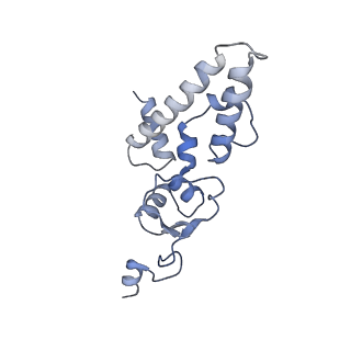 3847_5oql_r_v1-3
Cryo-EM structure of the 90S pre-ribosome from Chaetomium thermophilum