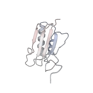 3847_5oql_t_v1-3
Cryo-EM structure of the 90S pre-ribosome from Chaetomium thermophilum