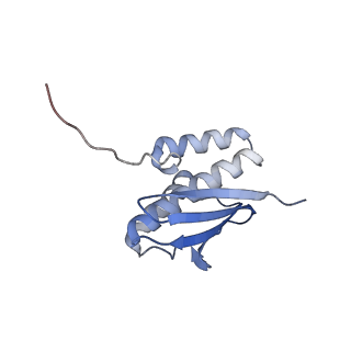 3847_5oql_u_v1-3
Cryo-EM structure of the 90S pre-ribosome from Chaetomium thermophilum