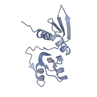 3847_5oql_w_v1-3
Cryo-EM structure of the 90S pre-ribosome from Chaetomium thermophilum