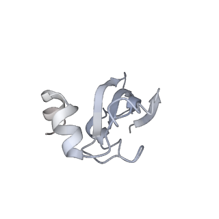 3847_5oql_y_v1-3
Cryo-EM structure of the 90S pre-ribosome from Chaetomium thermophilum