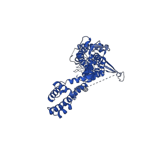 13036_7or0_A_v1-0
Cryo-EM structure of the human TRPA1 ion channel in complex with the antagonist 3-60, conformation 2