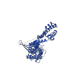 13036_7or0_C_v1-0
Cryo-EM structure of the human TRPA1 ion channel in complex with the antagonist 3-60, conformation 2