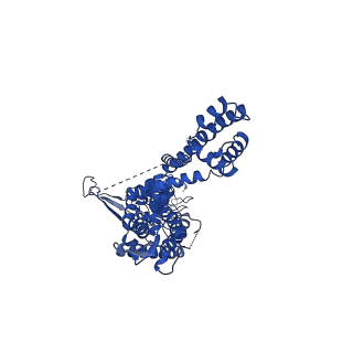13037_7or1_C_v1-0
Cryo-EM structure of the human TRPA1 ion channel in complex with the antagonist 3-60, conformation 1