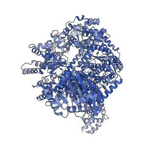 13038_7ori_A_v1-1
La Crosse virus polymerase at replication late-elongation stage