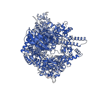 13041_7orl_A_v1-1
La Crosse virus polymerase at transcription initiation stage