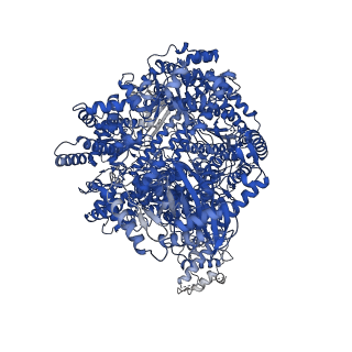 13042_7orm_A_v1-1
La Crosse virus polymerase at transcription early-elongation stage