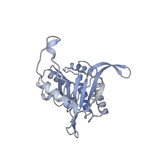 17119_8orb_A_v1-1
24-meric catalytic domain of dihydrolipoamide acetyltransferase (E2) of the E. coli pyruvate dehydrogenase complex.