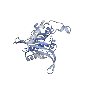 17119_8orb_B_v1-1
24-meric catalytic domain of dihydrolipoamide acetyltransferase (E2) of the E. coli pyruvate dehydrogenase complex.