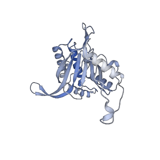 17119_8orb_C_v1-1
24-meric catalytic domain of dihydrolipoamide acetyltransferase (E2) of the E. coli pyruvate dehydrogenase complex.