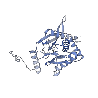 17119_8orb_D_v1-1
24-meric catalytic domain of dihydrolipoamide acetyltransferase (E2) of the E. coli pyruvate dehydrogenase complex.