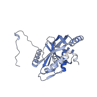 17119_8orb_E_v1-1
24-meric catalytic domain of dihydrolipoamide acetyltransferase (E2) of the E. coli pyruvate dehydrogenase complex.