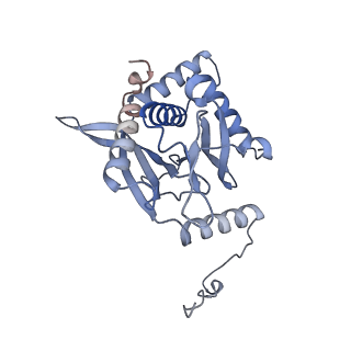 17119_8orb_F_v1-1
24-meric catalytic domain of dihydrolipoamide acetyltransferase (E2) of the E. coli pyruvate dehydrogenase complex.
