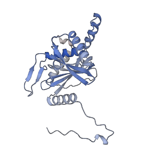 17119_8orb_G_v1-1
24-meric catalytic domain of dihydrolipoamide acetyltransferase (E2) of the E. coli pyruvate dehydrogenase complex.