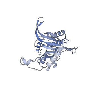 17119_8orb_H_v1-1
24-meric catalytic domain of dihydrolipoamide acetyltransferase (E2) of the E. coli pyruvate dehydrogenase complex.