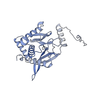 17119_8orb_I_v1-1
24-meric catalytic domain of dihydrolipoamide acetyltransferase (E2) of the E. coli pyruvate dehydrogenase complex.