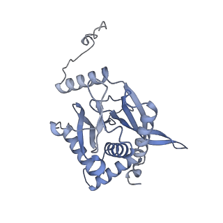 17119_8orb_J_v1-1
24-meric catalytic domain of dihydrolipoamide acetyltransferase (E2) of the E. coli pyruvate dehydrogenase complex.