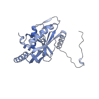 17119_8orb_K_v1-1
24-meric catalytic domain of dihydrolipoamide acetyltransferase (E2) of the E. coli pyruvate dehydrogenase complex.