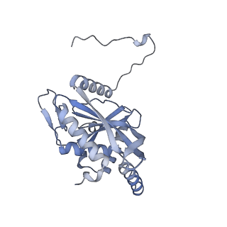 17119_8orb_L_v1-1
24-meric catalytic domain of dihydrolipoamide acetyltransferase (E2) of the E. coli pyruvate dehydrogenase complex.