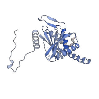 17119_8orb_M_v1-1
24-meric catalytic domain of dihydrolipoamide acetyltransferase (E2) of the E. coli pyruvate dehydrogenase complex.