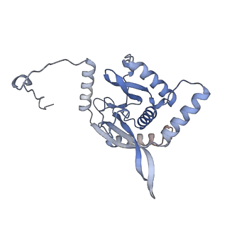 17119_8orb_N_v1-1
24-meric catalytic domain of dihydrolipoamide acetyltransferase (E2) of the E. coli pyruvate dehydrogenase complex.