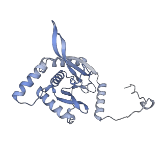 17119_8orb_O_v1-1
24-meric catalytic domain of dihydrolipoamide acetyltransferase (E2) of the E. coli pyruvate dehydrogenase complex.