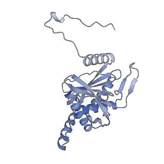17119_8orb_P_v1-1
24-meric catalytic domain of dihydrolipoamide acetyltransferase (E2) of the E. coli pyruvate dehydrogenase complex.