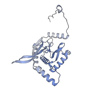 17119_8orb_Q_v1-1
24-meric catalytic domain of dihydrolipoamide acetyltransferase (E2) of the E. coli pyruvate dehydrogenase complex.