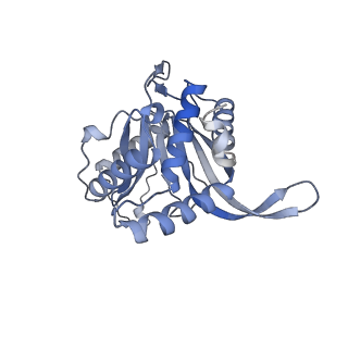 17119_8orb_R_v1-1
24-meric catalytic domain of dihydrolipoamide acetyltransferase (E2) of the E. coli pyruvate dehydrogenase complex.