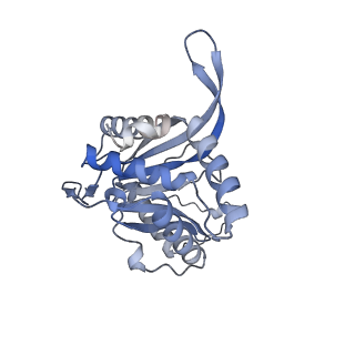 17119_8orb_S_v1-1
24-meric catalytic domain of dihydrolipoamide acetyltransferase (E2) of the E. coli pyruvate dehydrogenase complex.