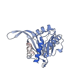 17119_8orb_T_v1-1
24-meric catalytic domain of dihydrolipoamide acetyltransferase (E2) of the E. coli pyruvate dehydrogenase complex.