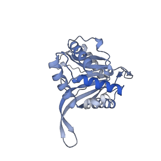 17119_8orb_V_v1-1
24-meric catalytic domain of dihydrolipoamide acetyltransferase (E2) of the E. coli pyruvate dehydrogenase complex.