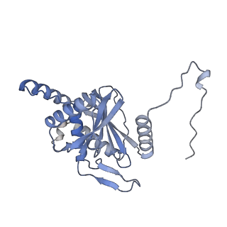 17119_8orb_X_v1-1
24-meric catalytic domain of dihydrolipoamide acetyltransferase (E2) of the E. coli pyruvate dehydrogenase complex.