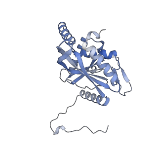 17119_8orb_Y_v1-1
24-meric catalytic domain of dihydrolipoamide acetyltransferase (E2) of the E. coli pyruvate dehydrogenase complex.