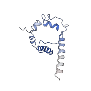 20175_6orn_J_v1-2
Modified BG505 SOSIP-based immunogen RC1 in complex with the elicited V3-glycan patch bNAb 10-1074