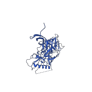 20176_6oro_G_v1-2
Modified BG505 SOSIP-based immunogen RC1 in complex with the elicited V3-glycan patch antibody Ab874NHP