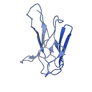 20176_6oro_K_v1-2
Modified BG505 SOSIP-based immunogen RC1 in complex with the elicited V3-glycan patch antibody Ab874NHP