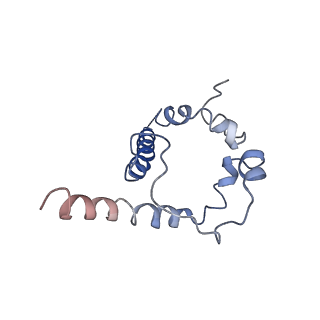 20177_6orp_A_v1-2
Modified BG505 SOSIP-based immunogen RC1 in complex with the elicited V3-glycan patch antibody Ab897NHP