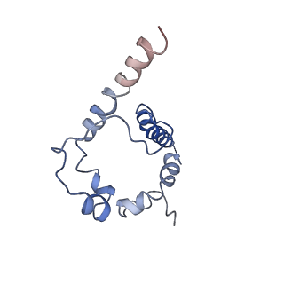 20177_6orp_C_v1-2
Modified BG505 SOSIP-based immunogen RC1 in complex with the elicited V3-glycan patch antibody Ab897NHP