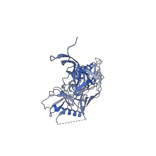 20177_6orp_G_v1-2
Modified BG505 SOSIP-based immunogen RC1 in complex with the elicited V3-glycan patch antibody Ab897NHP
