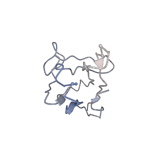 20177_6orp_L_v1-2
Modified BG505 SOSIP-based immunogen RC1 in complex with the elicited V3-glycan patch antibody Ab897NHP