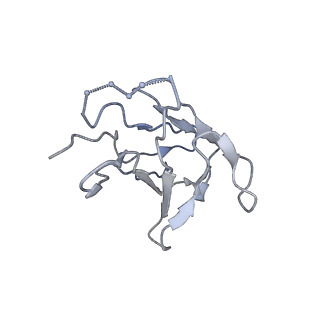 20178_6orq_K_v1-1
Modified BG505 SOSIP-based immunogen RC1 in complex with the elicited V3-glycan patch antibody Ab275MUR