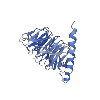 20179_6orv_BP_v1-2
Non-peptide agonist (TT-OAD2) bound to the Glucagon-Like peptide-1 (GLP-1) Receptor