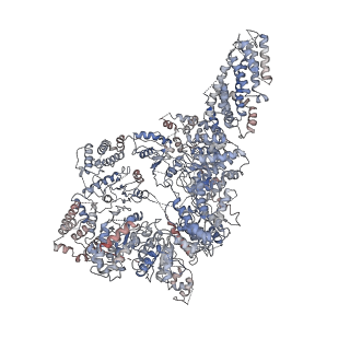 9032_6or5_A_v1-2
Full-length S. pombe Mdn1 in the presence of AMPPNP (ring region)