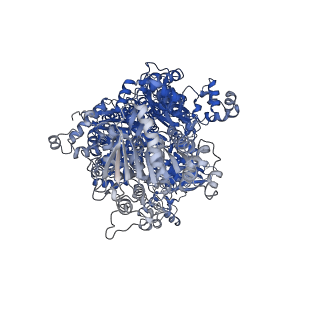 13045_7os1_B_v1-2
Cryo-EM structure of Brr2 in complex with Fbp21