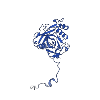 13046_7os2_J_v1-2
Cryo-EM structure of Brr2 in complex with Jab1/MPN and C9ORF78