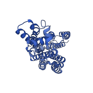 13048_7ose_B_v1-2
cytochrome bd-II type oxidase with bound aurachin D